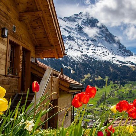 Chalet Caramelle Villa Grindelwald Exterior photo